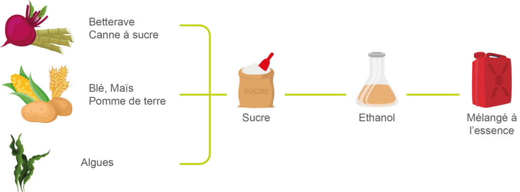 cycle production éthanol